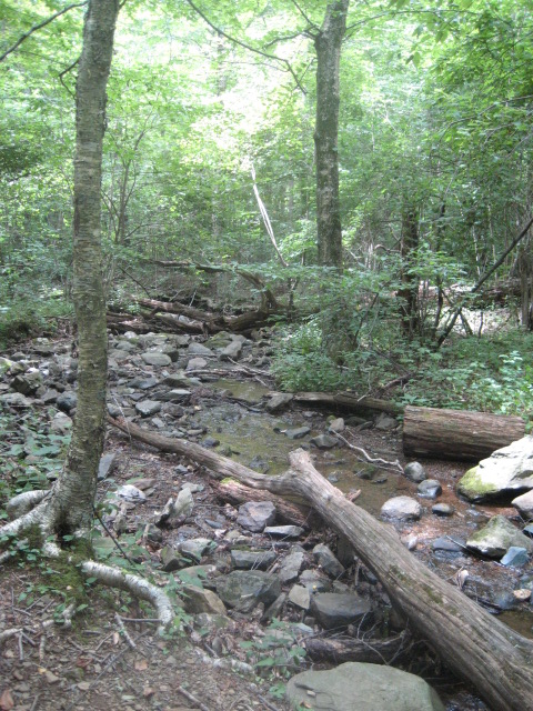 One of our three stream crossing to reach Rapidan Camp